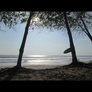 Meet your Posher, Flavia